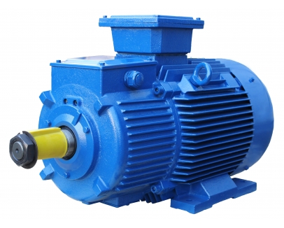 Электродвигатель шнекового транспортера Электродвигатель шнекового транспортера